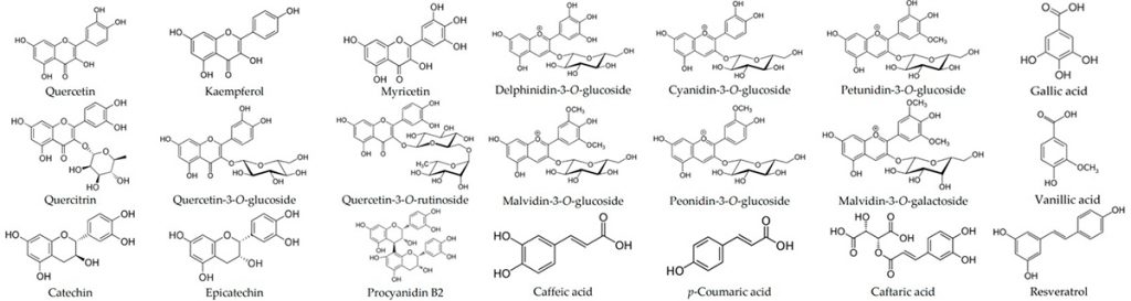 phenolic compounds